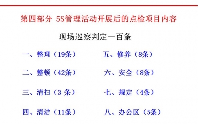 现场巡视100条
